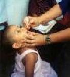 Almotamar Net - anti polio