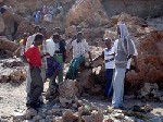 Almotamar Net - NAIROBI, 13 Sep. (IRIN) - Authorities in Somalias self-declared autonomous region of Puntland are cracking down on migrants waiting to be smuggled into Yemen and the Gulf States, Puntlands deputy police chief said on Wednesday.

