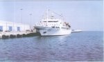 Almotamar Net - SANAA- An official source at Hudeida port operations  said Monday that seven survivors out of 17 Yemeni soldiers whose boat capsized in the sea days ago, have been carried to Al-Makha port Monday morning. The commercial ship Yemen Oil-6 has also carried corpses of the other ten soldiers drowned in the incident.

