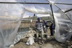 Almotamar Net - A United Nations anti-racism panel is scheduled to hold a hearing later this week over Israels attitude toward sites considered holy by its Arab population.


