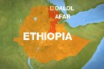 Almotamar Net - Up to 15 European tourists are believed to have been kidnapped in a remote desert region in northern Ethiopia. 