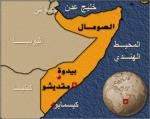 Almotamar Net - American authorities continue their interrogation of 150 persons arrested during their attempt to flee Somalia last December and January.