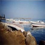 Almotamar Net - Authorities of the Somali province of Bontland released Tuesday 130 Yemeni fishermen they had seized with their nine fishing boats for several days.