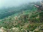 Almotamar Net - The station of agricultural research in the central heights region of Yemen launched in the period 1998-2006 more than 27 various agricultural research technology besides a number of other tasks and activities the station carries out.