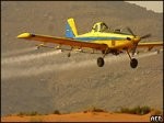 Almotamar Net - Director of the Yemeni National Centre for Fighting Locust Abud Farie Al-Ramieh revealed that the UN Food and Agriculture Organisation (FAO) considers helping Yemen with helicopter survey and control campaign. 