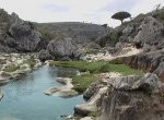 Almotamar Net - The governor of Hadramout, south Yemen Abdullah Hajir called upon the people of Yemen to nominate the Island of Socotra to be one of the world seven wonders, pointing out that would open for the island a spacious opportunity for investment, tourism and development. 