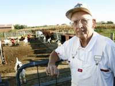 Almotamar Net - Farmer witnesses traditions the world over as immigrants flock to slaughter their own meat

HAZELWOOD, Ind. -- The sun is just beginning to peek over the horizon, but a crowd has already gathered at Tom Princes farm.
