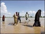 Almotamar Net - Yemeni coasts have recently received 49 Somali migrants as part of continuous wave of migration since eruption of battles and disturbance of the situations in Somalia. 