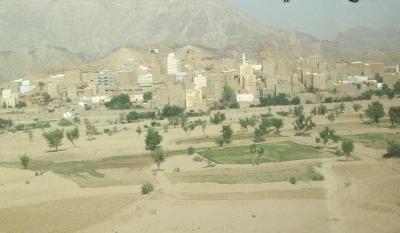 Almotamar Net - Local sources in the Yemeni province of Shabwa confirmed on Sunday the appearance of new cases of infection with the dengue fever disease, amounting to 8 cases in the district of Nisab and thus the cases of the disease rise to 921 cases in five districts of the province. 