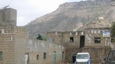 Almotamar Net - Security authorities in Taiz governorate on Saturday seized 1400 hashish saplings planted inside a courtyard of a citizen from the district of Sharab al-Salam. 