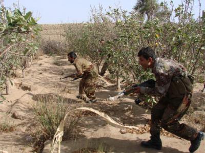 Almotamar Net - An official source has expressed astonishment regarding reports and allegations by some media on the establishment of and international intelligence office I Yemen with the aim of   confronting al-Qaeda organisation and that American drone planes were deployed in Yemen for chasing terrorist elements.