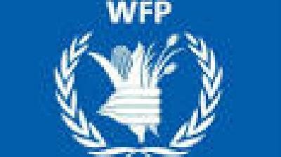 Almotamar Net - The World Food Programme (WFP) intends to provide food aid for 6 million Yemenis, including 1 million of primary schools children as part of its activities in the coming year, the WFP representative in Yemen said Tuesday.