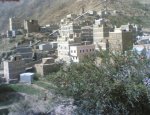 المؤتمر نت -    