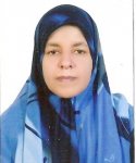 المؤتمر نت -  