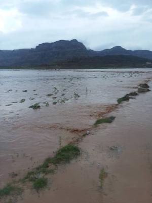 وفاة 10 مواطنين بسيول الأمطار في ريمة 	 