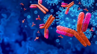 المؤتمر نت - أوضحت دراسة دنماركية أن المتحور الجديد من فيروس كورونا أفضل من المتحور دلتا في مراوغة مناعة الحاصلين على اللقاح