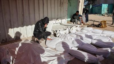 ������� �� -  ������ ����� ����� ������� ���������� ��� ���� ��� ��� ������ �� ������ 2023� ��� 72 ����� �116 ������ �171 ����� �798 ������