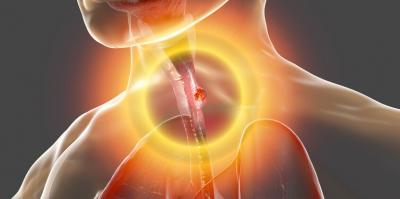 ������� �� - ����� ����� ����� �� ������� ����� �� �� ���� �� "���� �����"� �� ����� ����� ����� ���� ����� ����� ������ �����