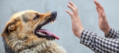 ������� �� -  