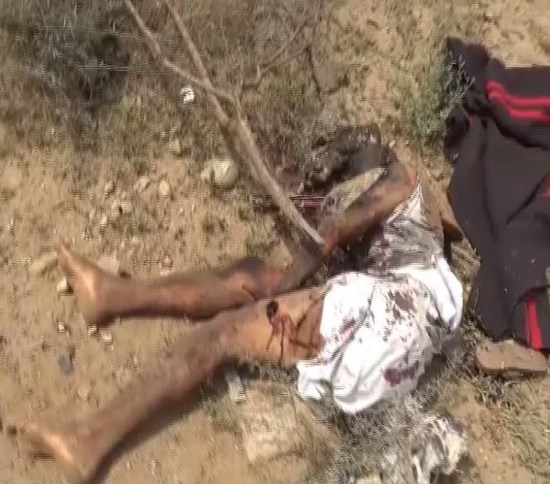 نقره لتكبير أو تصغير الصورة ونقرتين لعرض الصورة في صفحة مستقلة بحجمها الطبيعي