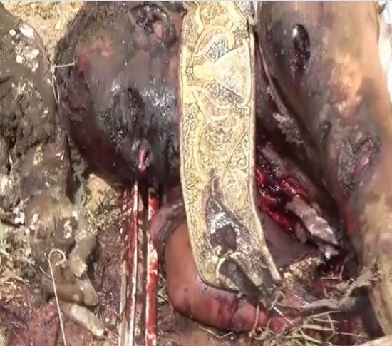 نقره لتكبير أو تصغير الصورة ونقرتين لعرض الصورة في صفحة مستقلة بحجمها الطبيعي