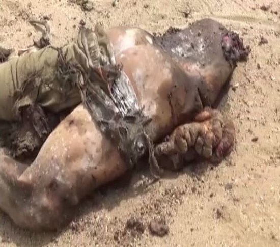 نقره لتكبير أو تصغير الصورة ونقرتين لعرض الصورة في صفحة مستقلة بحجمها الطبيعي