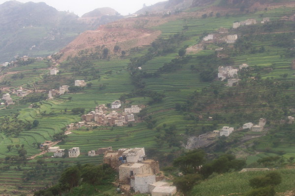 عتمة محمية اليمن الطبيعية الأولى