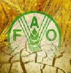 Almotamar Net - The meeting of the 33rd round for the conference of the Food and Agriculture Organization (FAO) decided next conference for the organization to be held in Yemen