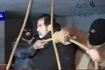 Almotamar Net - BAGHDAD, Dec 30 (Reuters) - A subdued Saddam Hussein was led shackled into a hall early on Saturday in Baghdad, a noose was placed around his neck and a guard pulled a lever that swiftly ended his life and a chapter of Iraqs history. 
