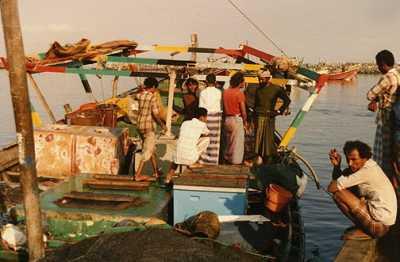 Almotamar Net - Coast Guard troops of Yemen on Monday rescued 7 fishermen whose boat stopped working in an area 14 miles from Rasha Island in the Red Sea west of Yemen. 