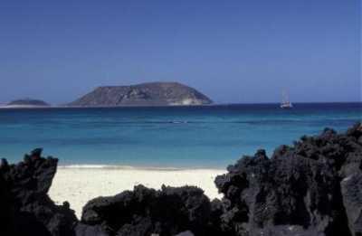 Almotamar Net - Director General of Yemen Islands Development Authority Yahya al-Kaynaie on Wednesday said team specialised seismic observation installed on Monday a station for earthquake observation in Al-Zubair islands archipelago in the Red Sea.  Those islands came under quakes during the past days and affirmed at the same time that the lava continued spewing from the volcano of Jebel Al-Tair Island. 

