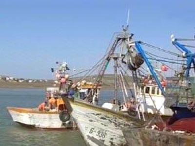 Almotamar Net - Twenty-five Yemeni fishermen, who were retained by Eritrean pirates, have arrived in Hudeida seaport, west Yemen. 
