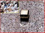   -             (49)                 .
         (1000)      " "             (650)         ..