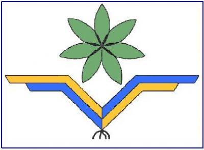   -          9  2009                          .