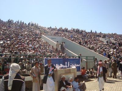   -         ٢٣٩                     