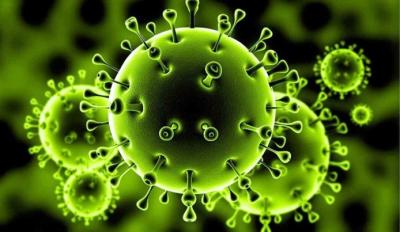 المؤتمر نت - أظهر إحصاء لوكالة رويترز أن أكثر من 44.88 مليونا أصيبوا بفيروس كورونا المستجد على مستوى العالم في حين وصل إجمالي 