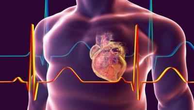 المؤتمر نت - يمكن أن يكون مرض تضخم عضلة القلب الذي يرمز له بـ"HCM" مخيفًا، فمن شأنه أن يؤدي إلى زيادة خطر الإصابة بالسكتة القلبية، والتي يمكن أن تكون قاتلة في غضون دقائق قليلة