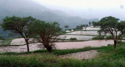 المؤتمر نت - توقع المركز الوطني للأرصاد الجوية استمرار هطول الأمطار الرعدية متفاوتة الشدة على عدد من المحافظات، خلال الـ24 ساعة القادمة