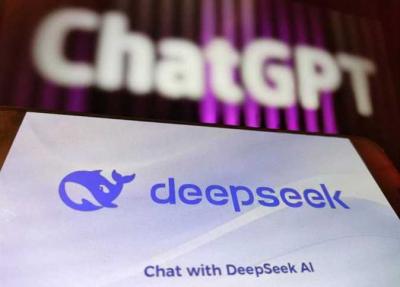   -       DeepSeek     
