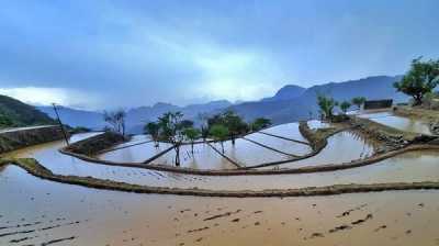 المؤتمر نت - كشف الفلكي اليمني عدنان الشوافي "الخبير الدولي في الفيزياء الفلكية، عن موعد حالة ماطرة على اليمن ونسبة تغطية الأمطار لمحافظات الجمهورية