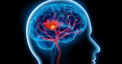 المؤتمر نت -