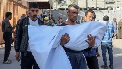   -      ɡ        68875 ǡ    