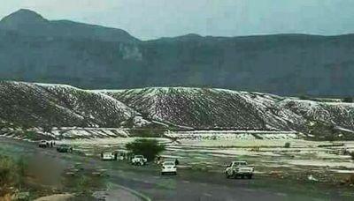   -                   24  