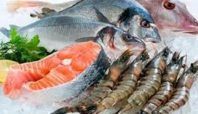 المؤتمر نت - 6 أنواع من الأسماك مُفيدة للقلب والدماغ