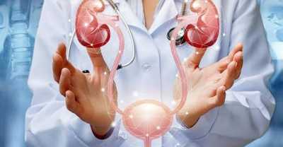 المؤتمر نت - فاكهة تُخفف حرقان البول بسرعة