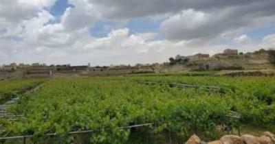 المؤتمر نت - كشف الفلكي اليمني عدنان الشوافي عن تأثر معظم محافظات الجمهورية بموجة صقيع جديدة خلال