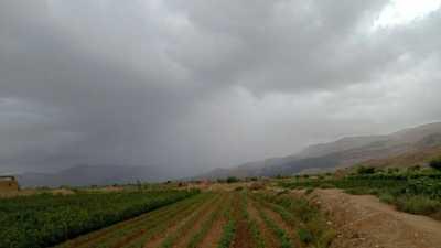 المؤتمر نت - ونصح المزارعين باتخاذ الإجراءات المناسبة لحماية مزروعاتهم ومحاصيلهم من التلف، والقادمين