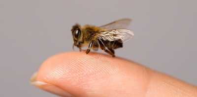 المؤتمر نت -