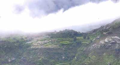   -                  24  