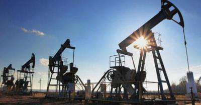 المؤتمر نت -